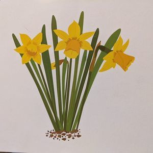 Meet your Posher, Heidi